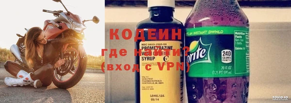 не бодяженный Гусев