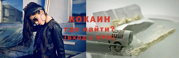 шишки Гусь-Хрустальный