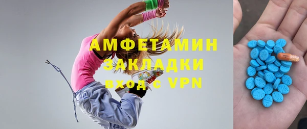 шишки Гусь-Хрустальный