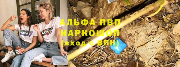 шишки Гусь-Хрустальный