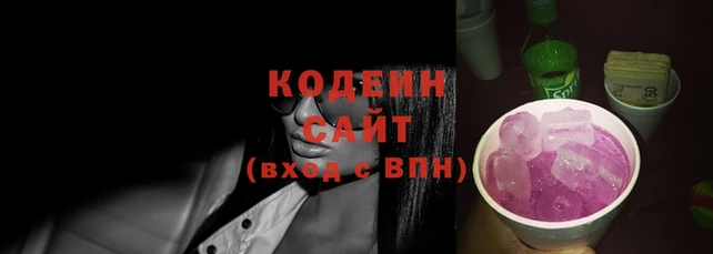 шишки Гусь-Хрустальный