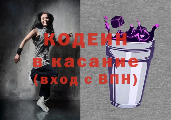 шишки Гусь-Хрустальный