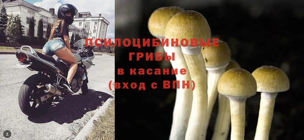 jwh Гусиноозёрск