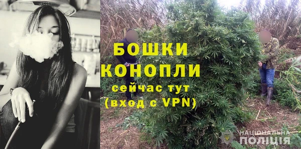 шишки Гусь-Хрустальный