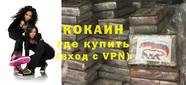 шишки Гусь-Хрустальный