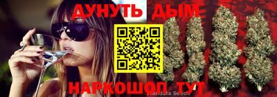 Альфа ПВП Гагарин