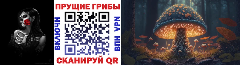 Псилоцибиновые грибы GOLDEN TEACHER  Знаменск 