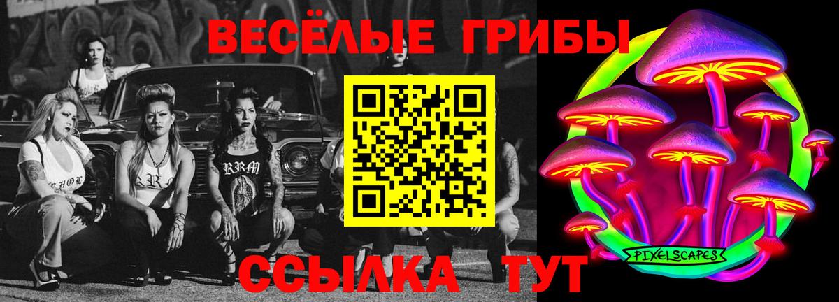 Псилоцибиновые грибы GOLDEN TEACHER Знаменск